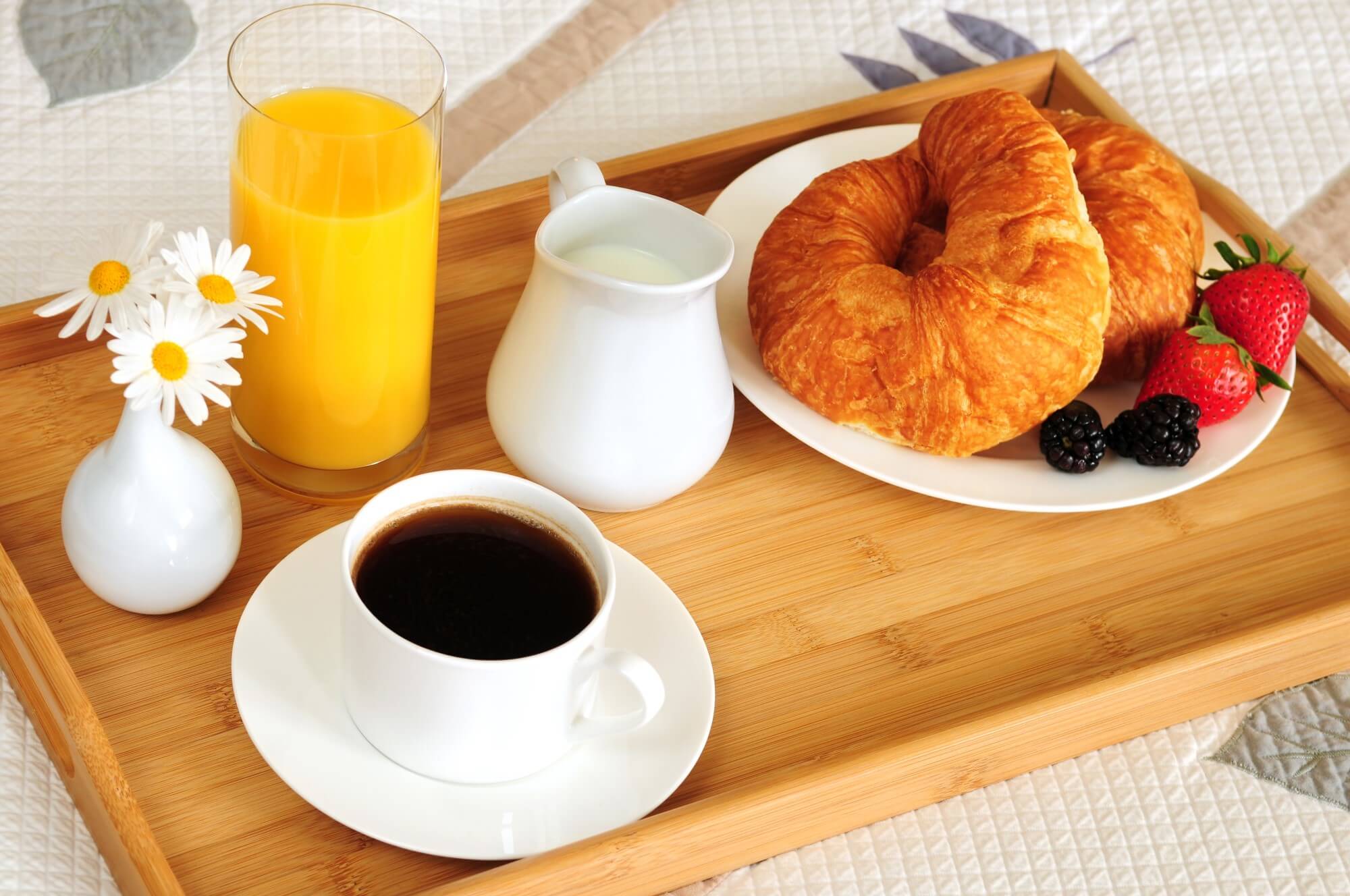 Accommodation and Meals
